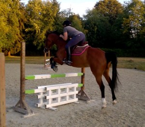 Laura jumping a school horse at Farpoint Farm