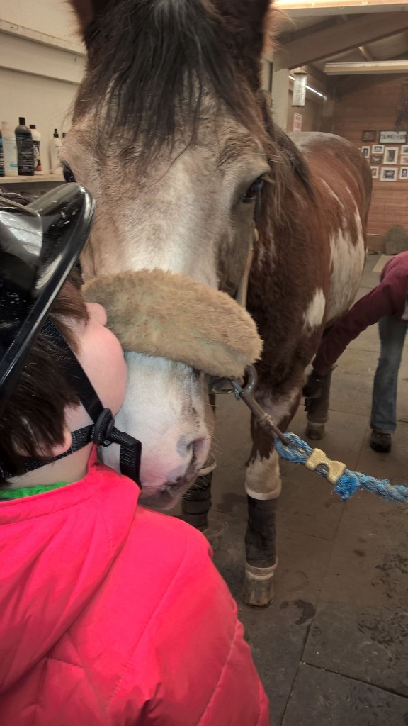 Hippotherapy vs Therapeutic Riding