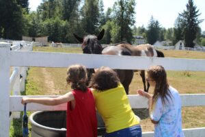 Laura jumping a school horse at Farpoint Farm